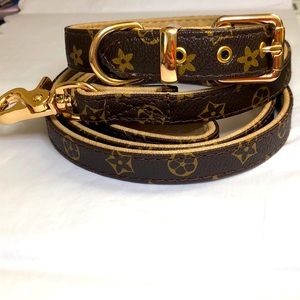Luxury Leather Dog Collar & Matching Lead.